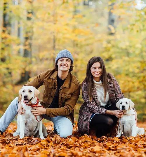 PETFRIENDLY Carrusel 05