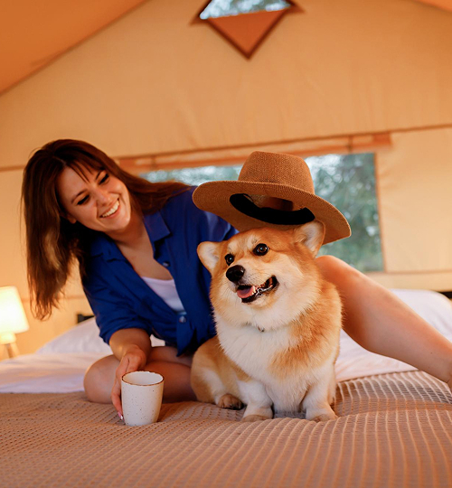 PETFRIENDLY Carrusel 01