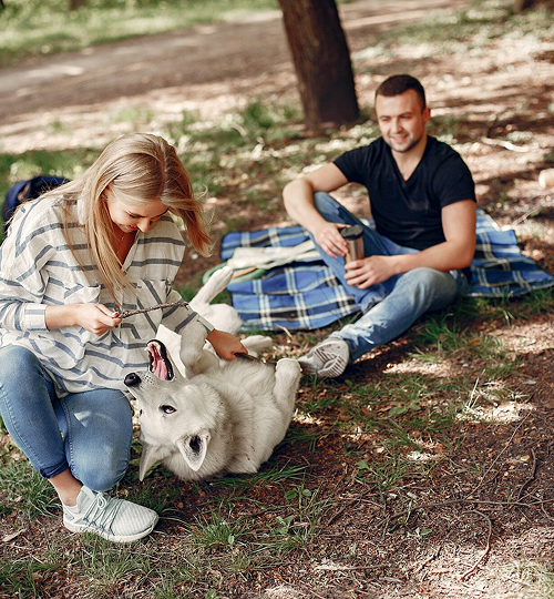 PETFRIENDLY Carrusel 04