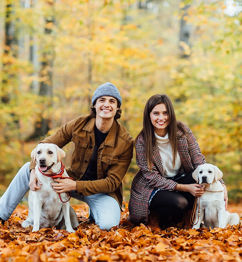 PETFRIENDLY Carrusel 05